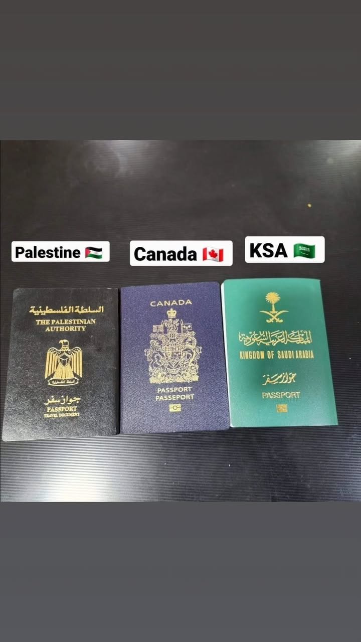 الصفحة الرئيسية 49 340491660_1574683553041580_3511222821915272502_n.heic